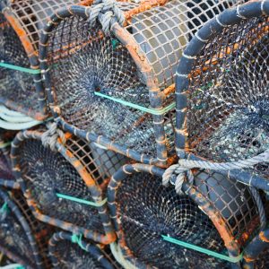 The Best Fishing Gear to Elevate Your Catch