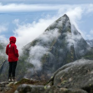 The Top Hiking Gear to Keep You Safe and Comfortable on the Trail